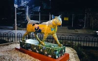 Nueva Gata en la ciudad de Cali