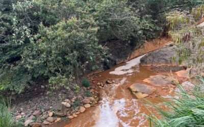 Crisis en el río Aguacatal